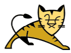 tomcat.png