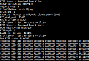 server