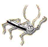 Stiquito