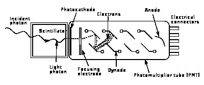 Photomultiplier