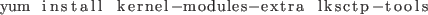 \begin{lstlisting}
yum install kernel-modules-extra lksctp-tools
\end{lstlisting}