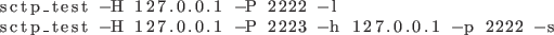 \begin{lstlisting}
sctp_test -H 127.0.0.1 -P 2222 -l
sctp_test -H 127.0.0.1 -P 2223 -h 127.0.0.1 -p 2222 -s
\end{lstlisting}