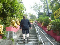 Eduardo I Silva